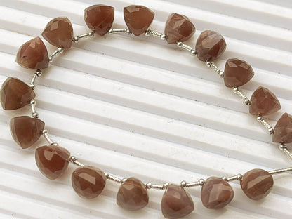 17 Pieces Chocolate Moonstone 3D Trillion Shape Beads Beadsforyourjewelry