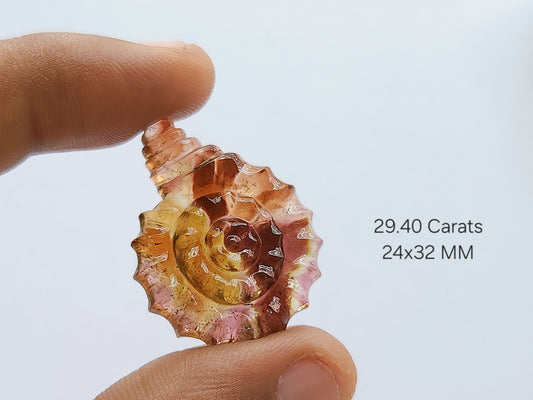 Elegant! Bi-Color Tourmaline Spiral Shell Carving | Watermelon Tourmaline