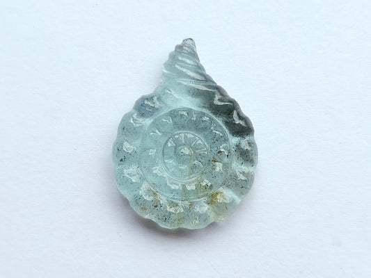 Natural Aquamarine Sea Shell Carving