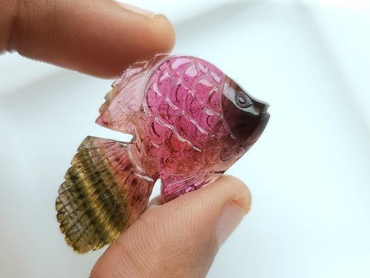 Natural Bi-Tourmaline Carved Fishes For Charms & Pendants