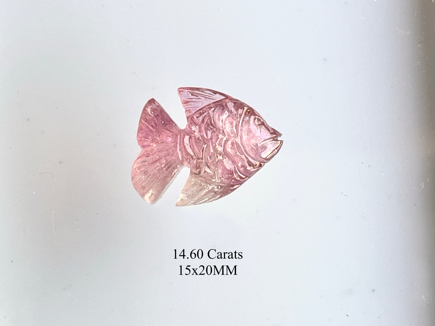 Rare! Natural Tourmaline Fish Carving loose