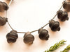 14 Pieces Natural Smoky Quartz Carved Frosted Shell Shape Beads Beadsforyourjewelry