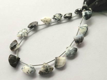 Dendritic Opal Fan Shape Faceted Beads