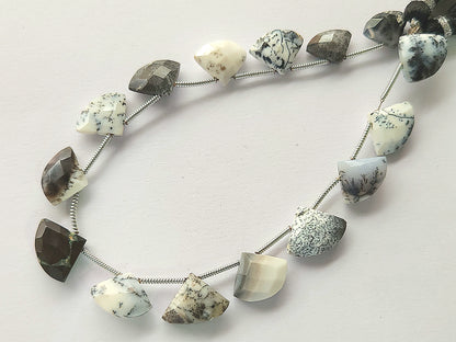 Dendritic Opal Fan Shape Faceted Beads