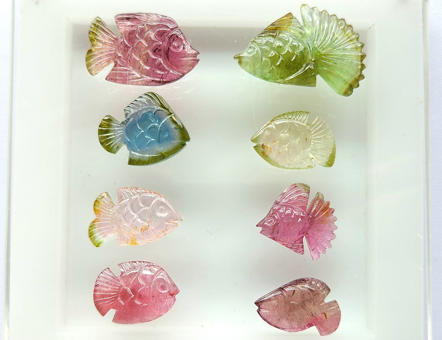 Rare! Natural Bi-Tourmaline Fish Carving