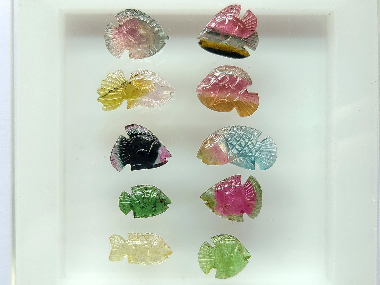 Rare! Natural Bi-Tourmaline Fish Carving