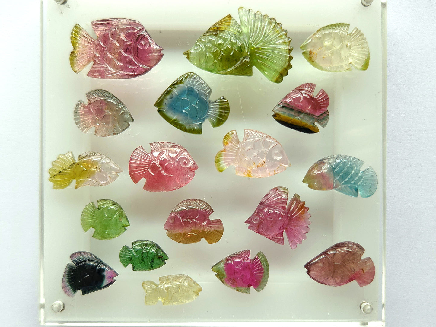 Rare! Natural Bi-Tourmaline Fish Carving