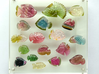 Rare! Natural Bi-Tourmaline Fish Carving