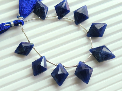 Natural Sodalite Fancy Diamond shape Faceted beads
