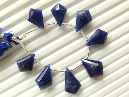 Natural Sodalite Fancy Kite shape Faceted beads