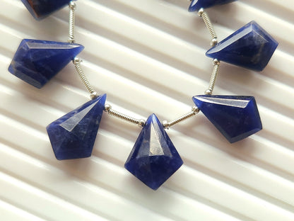 Natural Sodalite Fancy Kite shape Faceted beads