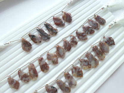 Natural Red Plum Agate Gemstone Fancy Crown Cut Pairs