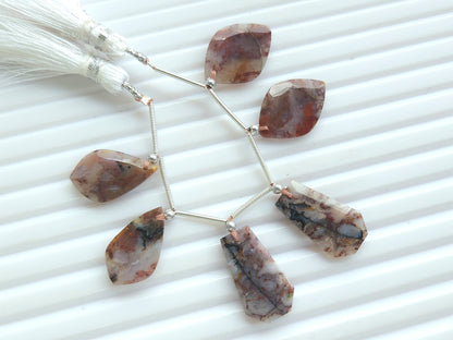 Natural Red Plum Agate Gemstone Fancy Crown Cut Pairs
