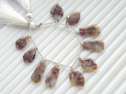 Natural Red Plum Agate Gemstone Fancy Crown Cut Pairs