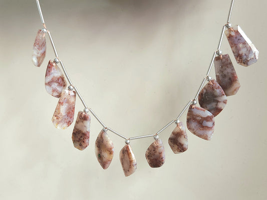 Natural Red Plum Agate Gemstone Fancy Crown Cut Pairs