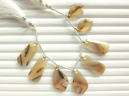 Natural Montana Agate Gemstone Fancy Crown Cut Pairs