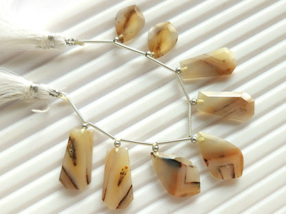 Natural Montana Agate Gemstone Fancy Crown Cut Pairs