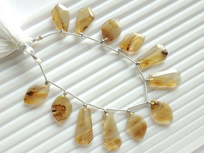 Natural Montana Agate Gemstone Fancy Crown Cut Pairs