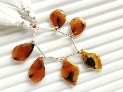 Natural Montana Agate Gemstone Fancy Crown Cut Pairs