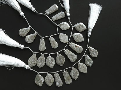 Natural Fossil Coral Jasper Gemstone Fancy Crown Cut Pairs