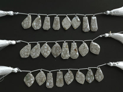 Natural Fossil Coral Jasper Gemstone Fancy Crown Cut Pairs