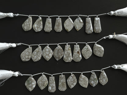 Natural Fossil Coral Jasper Gemstone Fancy Crown Cut Pairs