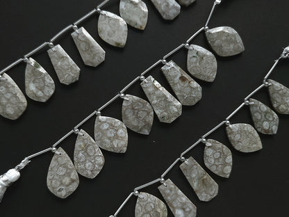 Natural Fossil Coral Jasper Gemstone Fancy Crown Cut Pairs