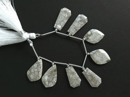 Natural Fossil Coral Jasper Gemstone Fancy Crown Cut Pairs