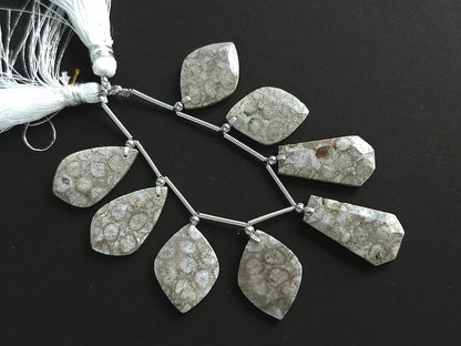 Natural Fossil Coral Jasper Gemstone Fancy Crown Cut Pairs