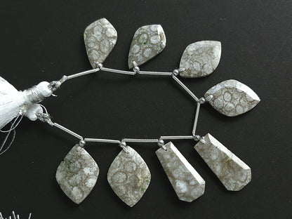 Natural Fossil Coral Jasper Gemstone Fancy Crown Cut Pairs