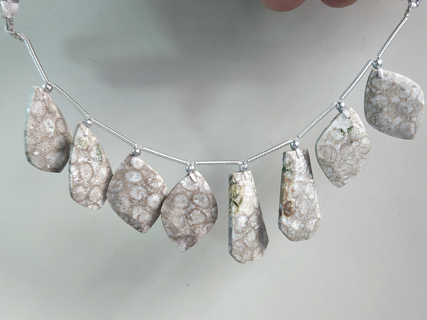 Natural Fossil Coral Jasper Gemstone Fancy Crown Cut Pairs