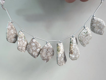 Natural Fossil Coral Jasper Gemstone Fancy Crown Cut Pairs