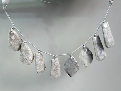 Natural Fossil Coral Jasper Gemstone Fancy Crown Cut Pairs