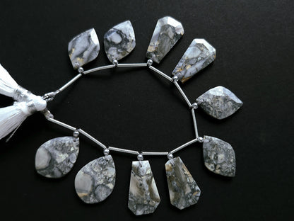 Natural Black Maligano Jasper Gemstone Fancy Crown Cut Pairs