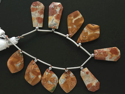 Natural Maligano Jasper Gemstone Fancy Crown Cut Pairs