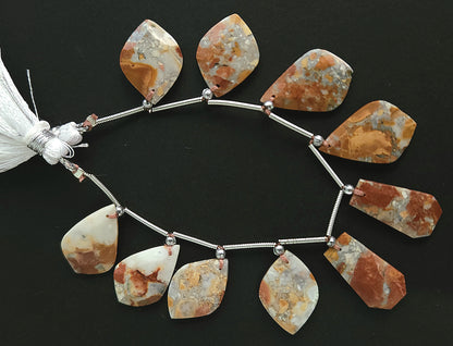 Natural Maligano Jasper Gemstone Fancy Crown Cut Pairs