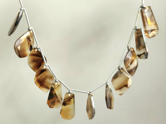 Natural Montana Agate Gemstone Fancy Crown Cut Pairs