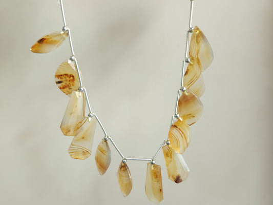 Natural Montana Agate Gemstone Fancy Crown Cut Pairs