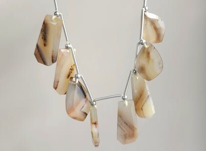 Natural Montana Agate Gemstone Fancy Crown Cut Pairs