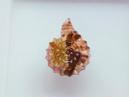 Elegant! Bi-Color Tourmaline Spiral Shell Carving | Watermelon Tourmaline