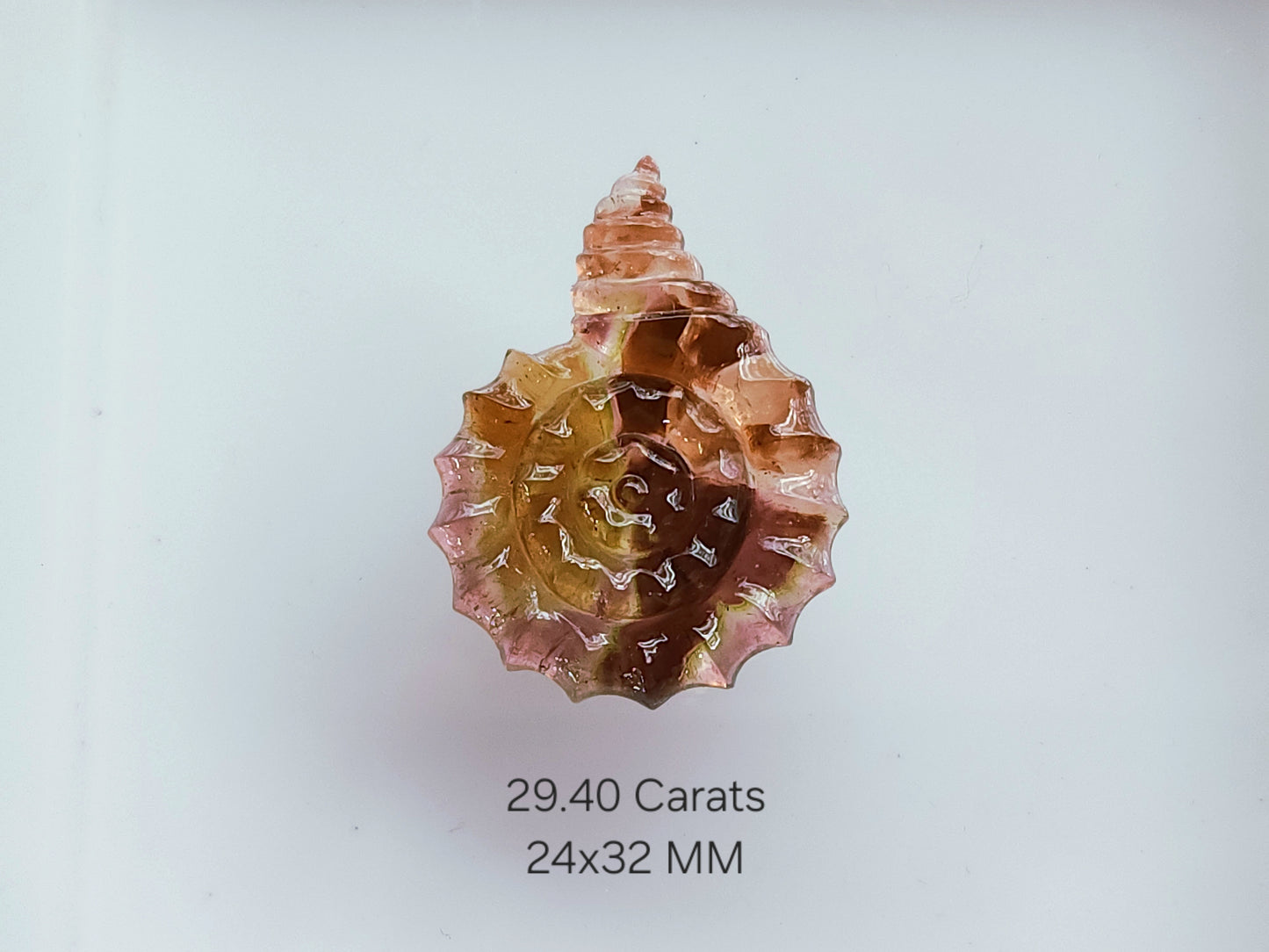 Elegant! Bi-Color Tourmaline Spiral Shell Carving | Watermelon Tourmaline