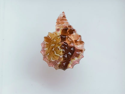 Elegant! Bi-Color Tourmaline Spiral Shell Carving | Watermelon Tourmaline