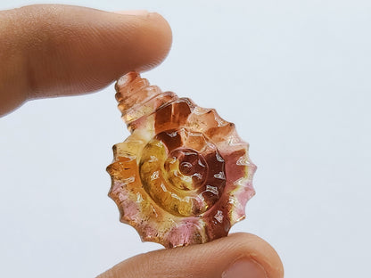 Elegant! Bi-Color Tourmaline Spiral Shell Carving | Watermelon Tourmaline
