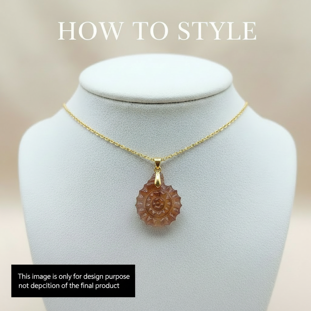 Elegant! Bi-Color Tourmaline Spiral Shell Carving | Watermelon Tourmaline
