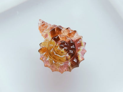 Elegant! Bi-Color Tourmaline Spiral Shell Carving | Watermelon Tourmaline