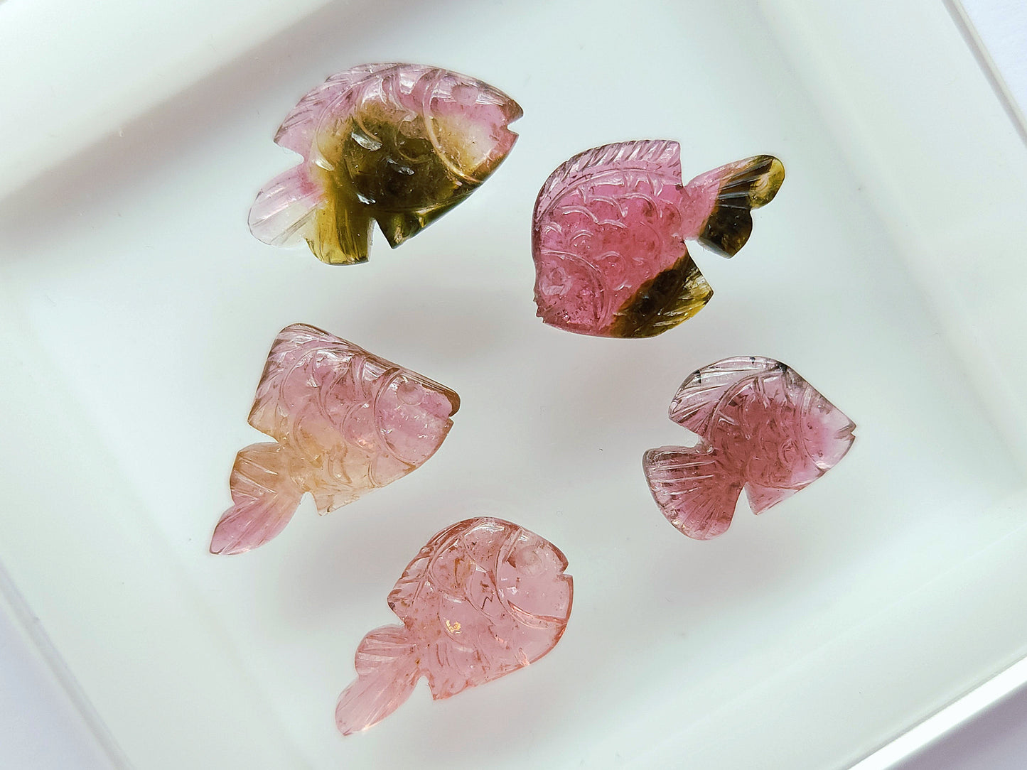 Natural Bi-Tourmaline Hand-Carved Fishes