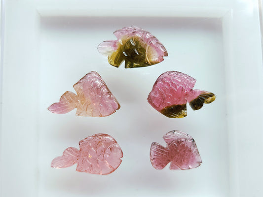 Natural Bi-Tourmaline Hand-Carved Fishes