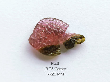 Natural Bi-Tourmaline Hand-Carved Fishes
