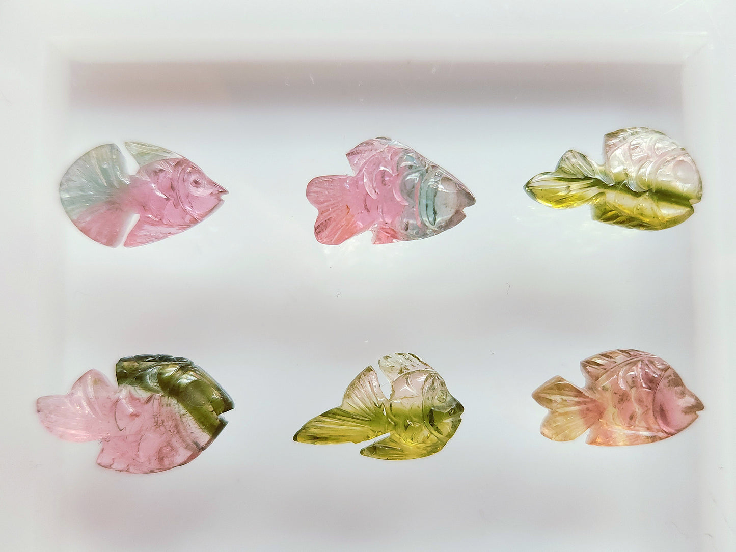 Natural Bi-Tourmaline Hand-Carved Fishes