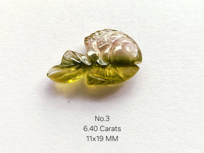 Natural Bi-Tourmaline Hand-Carved Fishes